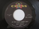 BILLY STEWART A Fat Boy Can Cry Chess DJ Promo Northern Soul 45 HEAR