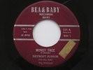 DETROIT JUNIOR Money Tree Bea & Baby Blues R&B 45 HEAR