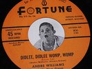 R&B 45 ANDRE WILLIAMS Didlee Womp / Just Because Of A Kiss Fortune 831