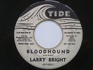 LARRY BRIGHT Bloodhound Tide WLP Promo R&B Rocker Mod 45 HEAR