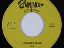 Psych Funk 45 NASSAUVIANS Misunderstood FLAMINGO HEAR