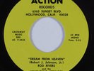 Psych Funk 45 ROD RIVERS & SWINGING STRINGS Dream From Heaven ACTION HEAR