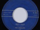 R&B Rocker/Doo Wop 45 KINGLETS & LEROY THOMAS Pretty Please BOBBIN HEAR