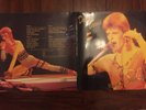 David Bowie LP - Rock 'n' Roll Suicide Double Album Gatefold Sleeve