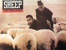 BLACK SHEEP - A Wolf In Sheep's Clothing - Vinyl (LP)