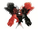 KINGS OF LEON Only By The Night 2 x 180gm Vinyl LP NEW & SEALED