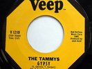 TAMMYS 45 Gypsy / Hold Back The Light Of Dawn VG++ Girl Group TEEN Pop w5568