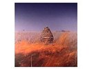 The Maccabees - Given To The Wild NEW 2 x LP