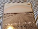 Vincent Gallo When Vinyl Record 2001 Warp OOP Hardbound Sleeve Buffalo '66