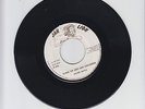 JAH LION/WAKE UP JAH JAH CHILDREN  -  ASTON GAYLE  (76  REGGAE ROOTS 7