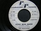 The Pendletons Itchy Bon Mash/The Waddle Surf 45rpm Audition Promo