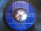 THE BIRDWATCHERS rare garage mod psych Mary Mary EX 45 LISTEN