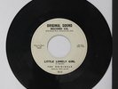 ORIGINALS: Little Lonely Girl / I Still Love You 45 (dj) rare Soul