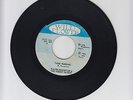 WILD FLOWER/TAKE WARNING  -  RALPH HAUGHTON & EBONY SISTERS (76 REGGAE ROOTS 7