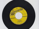 TREASURE ISLE/RENEGADE, DUCK SOUP  -   BABA BROOKS BAND   (65 INSTRUMENTAL 7