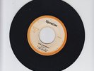 UPSETTER /ROW FISHERMAN  -  THE CONGOS  (77  REGGAE ROOTS 7