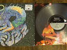 Fuzz Self Titled LP Clear Vinyl Ty Segall Thee Oh Sees in the red psych