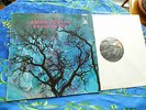 AMON DÜÜL 2 ? PHALLUS DEI 1st ? RARE QUALITY PRESS RECORDS #1A