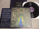 The Bluetones Expecting To Fly LP Vinyl ORIG w/ card, inner, insert (1996)