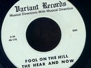 Hear And Now Unknown OBSCURE PRIVATE Sunshine Pop Psych 45 Daisies in The Field