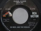 Ed Wool and The Nomads - Please, Please (Don't Go), Vinyl, 45rpm, 47-8940. VG+