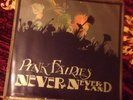 Rare First Issue Pink Fairies Never Never Land