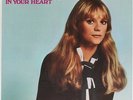 Put a Little Love In Your Heart  Jackie DeShannon Vinyl Record