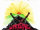 Bob Marley and The Wailers-Uprising Vinyl / 12