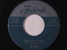ROYALS: Work With Me Annie / Until I Die 45 (silver top) Vocal Groups