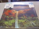 Tortoise - It´s All Around You - LIMITED LP COLOR Vinyl // Neu & OVP // Download
