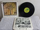SHIRLEY COLLINS & DOLLY COLLINS anthems in eden lp  UK IST harvest folk ,,A2/B1
