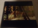 Childish Gambino 'Camp' Vinyl 2 Lp - J Cole Drake Kanye Hip Hop Rap