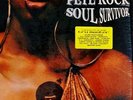 PETE ROCK - SOUL SURVIVOR - 2 LP VINYL ALBUM - US ORG '98 - Tru Master