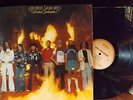 Lynyrd Skynyrd - Street Survivors- 1977 - w/ Flames - EX - 33 RPM 12