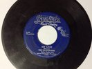 Vintage 45 Record States #160 THE DANDERLIERS My Love / She's Mine