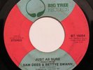 SAM DEES & BETTY SWANN-JUST AS SURE-BREAK-70'S SOUL 45 on BIG TREE