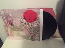 Margot And The Nuclear So And So's Not Animal Vinyl LP Dust Of Retreat Oop