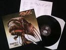 Rage - Perfect Man LP UK 1988 EX/EX+    Heavy Metal / Thrash
