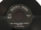 Garage Fuzz Psych 45 MUSIC MACHINE The Eagle Never Hunts listen