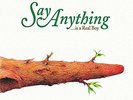 SAY ANYTHING - IS A REAL BOY NEW VINYL