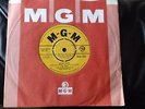 THE MAZE - CATARI CATARI - 1967 - MGM LABEL SINGLE - POP/PSYCH