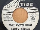 R&B ROCKER | Larry Bright - Way down home - Bloodhound