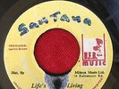 DENNIS BROWN / LIFE'S HARD LIVING RARE KILLER ROOTS REGGAE 45