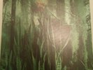 The Promise Ring - Wood/Water - Double LP 10