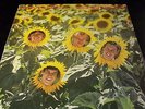 SUNNYBOYS / INDIVIDUALS. 1982 GATE-FOLD. EX.COND. OZ  LP