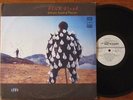 Pink Floyd Delicate Sound of Thunder Russian