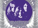 BLUE CHEER - VINCEBUS ERUPTUM NEW VINYL