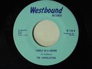 The Superlatives 45  LONELY IN A CROWD / I DON'T KNOW HOW   VG++ soul