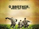 VARIOUS ARTISTS**O BROTHER WHERE ART THOU? (PICTURE DISC)**2 VINYL SET