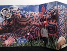 JELLYFISH Bellybutton '90 Charisma RARE promo tri-fold w lyric sleeve M- beauty